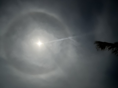 81A1A841-F87B-4DF6-9978-35DA6008EDF4