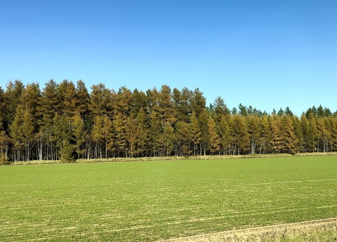 C71C3B6E-DE70-42BE-9895-CD3538F96145