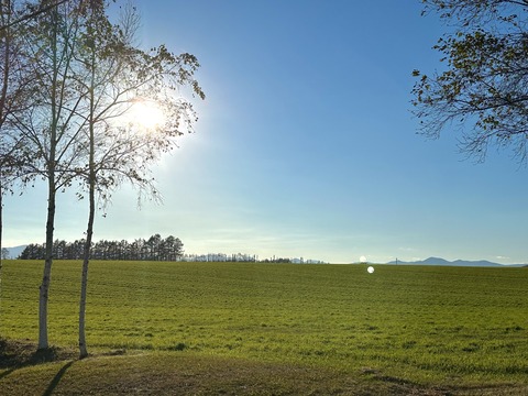 006DCFC1-48EA-4D72-9576-6214D6233972