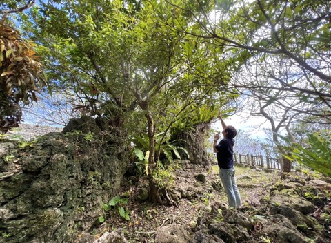 26712DBF-27BD-4637-88B5-A50CA011F5E8