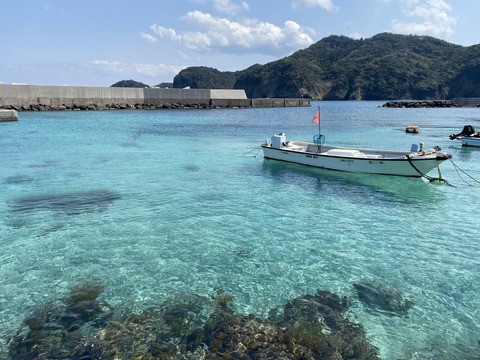 AB930D8E-88F3-42F5-BB88-C45EAEF00838