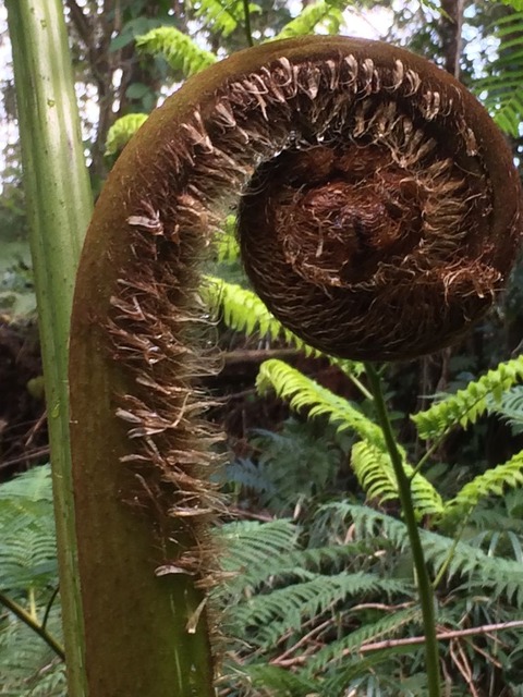 FCDF99C6-4F0D-4A90-9CBC-75C476032300