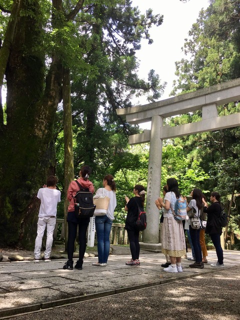 AEB8C319-BC04-43F4-8981-BC0C7BD9EB4F