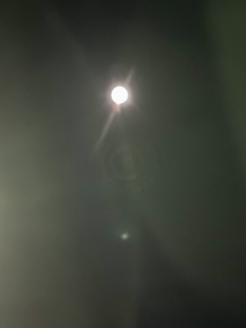 C2903AE6-7E11-4C4A-9599-9E256D4DE648