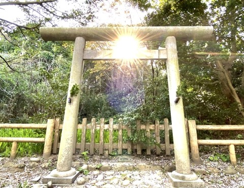 DF44894E-9A45-439E-A2D5-9F1EEDFF013A