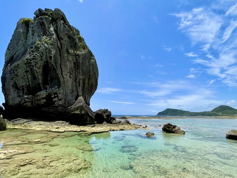 095E0111-B529-471E-91E4-66B66285C76F