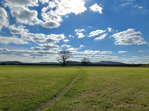 3F17E66A-6C92-4444-9238-2516DA9EBE31