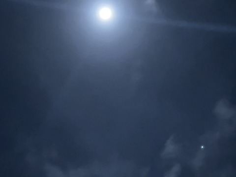 B8DF0EB8-D470-4B98-A3E5-9782296556C4