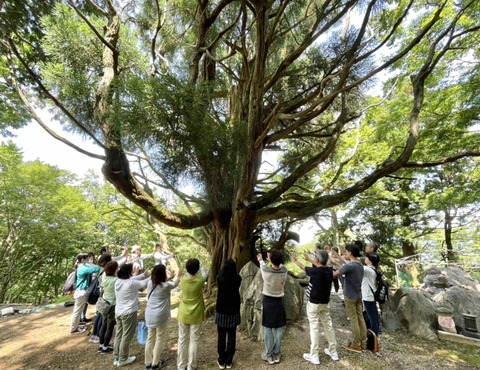 C91198B3-70DF-470E-BA8B-229676F2D0C2