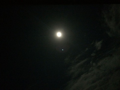 536AE0E0-2313-49FB-A28C-0B68824A0920