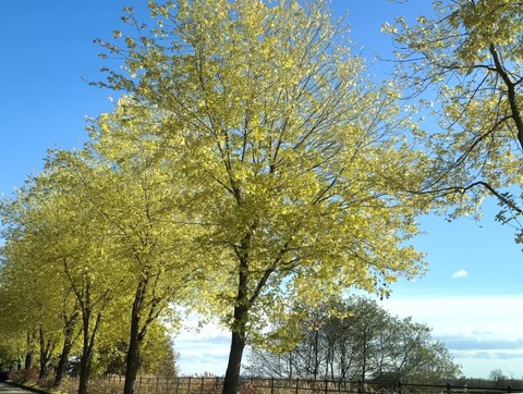 8D24CEDB-6798-4D88-A5F2-71423DE7B355