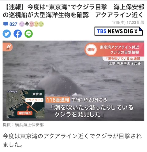 1A0FCBE6-88DE-4EDD-8128-8E649661844B