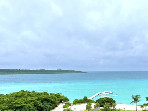 4F4C5433-CA2E-4826-B7DF-134065768244