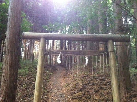 16A77178-B804-4455-ADAA-840FE06F84C8