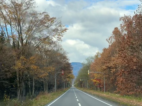 AFD314CC-1E34-41ED-B6A0-33062BDEF7CD