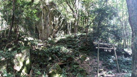 CE741055-31B3-4020-B4E8-A31EFE4D0D6F