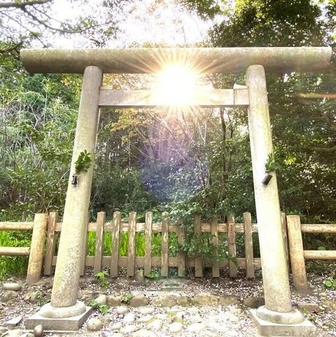 28FA78F5-FEDD-49C5-961B-1F96CAECFEE5