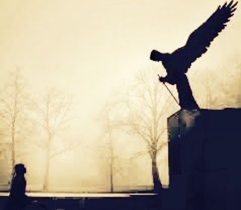 667C340A-BF25-493C-A51E-2303FC1B451D