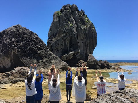 E3A19F16-B64B-44C5-A9ED-31C4BA5119F8