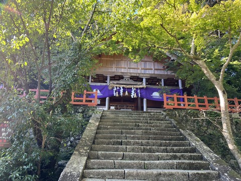 23B1E89F-1B14-4B55-9323-733A8EAD5A0F