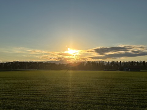 3F3D5394-DC4D-4BAE-8715-98BDB76DE824