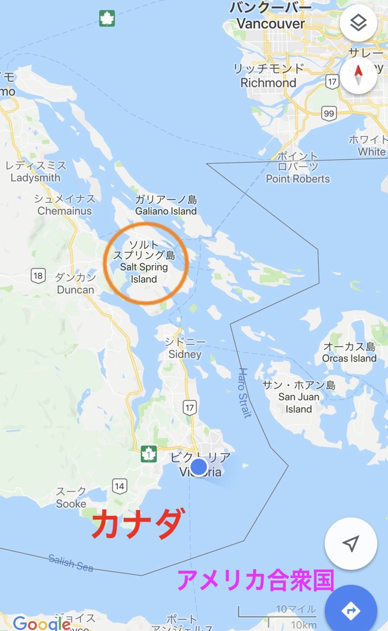 龍神レイキ 川島伸介 百匹目の猿現象加速化計画 カナダ ソルトスプリング島にて 龍神レイキ 川島伸介 百匹目の猿現象加速化計画 カナダ ソルトスプリング島にて