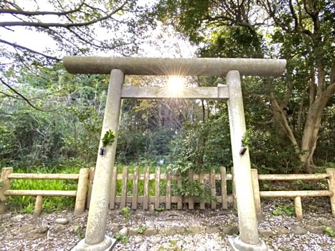 F7F36087-090D-47C2-BFBC-6887D67FE0A8