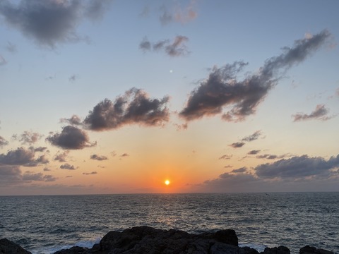 F0FD07E3-A810-4A22-8A14-2312814092C5