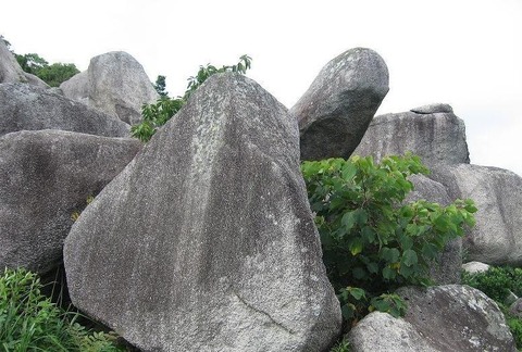 243D838E-AF6D-4963-9F16-531C7DAB16BC