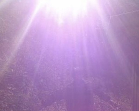 93A43F7F-C604-4C7F-948F-11788FEC1969