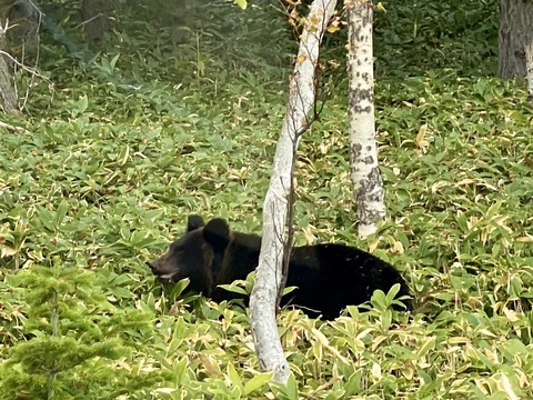 6A64FD81-957B-49DC-BD32-14FE67512770