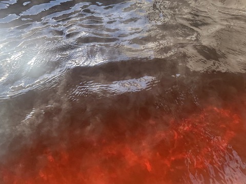 79D4D443-DEFF-42E4-917C-FDD1C82FA59B