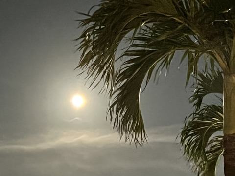 31937640-ED15-4407-9861-83C7E254F00D