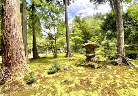 B99AA087-E175-41AE-AE94-B75F60C04202