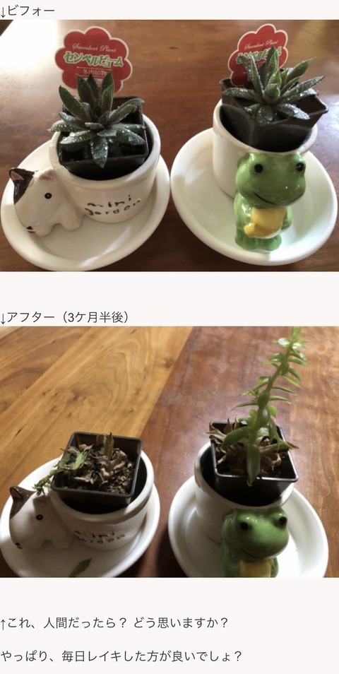 1BC3144C-4C78-489A-845B-35F12557F153