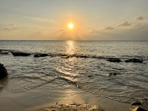 B1974E92-669F-415F-9C33-63E144BB9A53