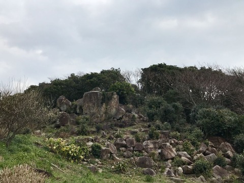 F4FBF078-9E57-4CDF-B3C9-264845B4B70F