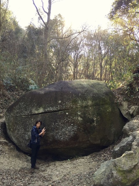 26D5E8E4-D0D0-4EEF-B2D8-33B266BDAB79