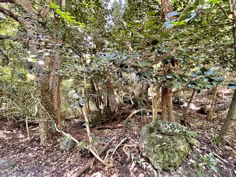 D59759FF-89AA-4309-BFED-02BB08FCD6C1