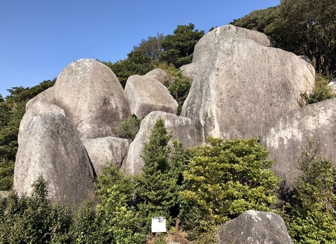 8AC93D5B-9FD4-4F1F-B655-C1EE9AC761F4