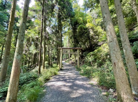 28C84D56-88A8-442C-90A7-1495B0727726