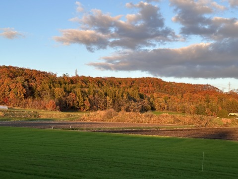 F154F489-2CB2-4AB4-AA6D-E7CCCDA68E1D