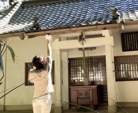 28027D87-E51B-472C-BF5F-DE600A506838