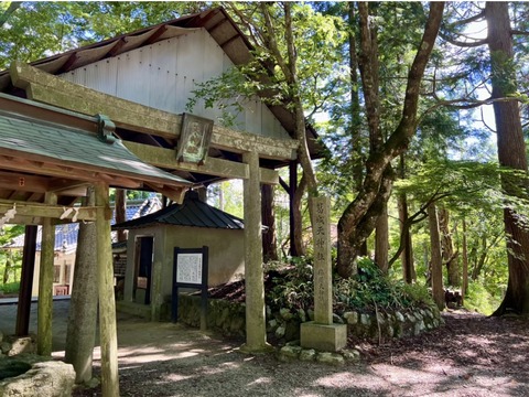 C2D3B8CD-3511-431D-9497-41523B9E927D