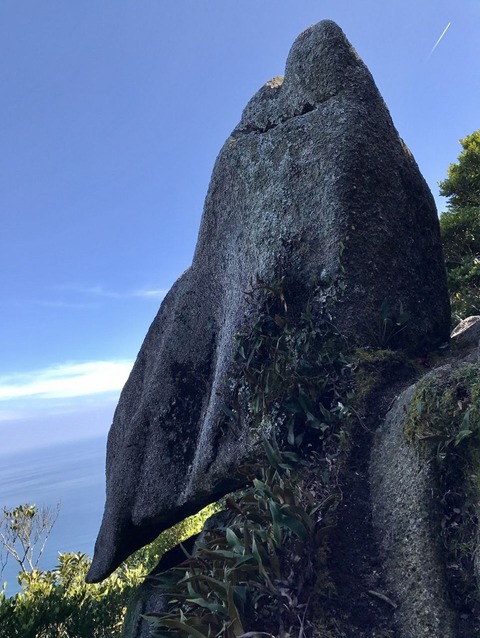 9DD28DEB-DC88-4DDE-BF04-483ADF43CA0E