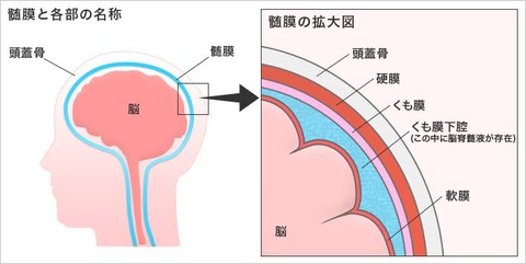 9F5D7A3D-6F21-416B-901E-8AAE7CEBB63F