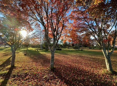 A4C47E0B-E324-411F-A100-D2CBD30D3FA0