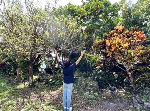 4115E270-52B1-4C3A-933A-36B62F5908C7