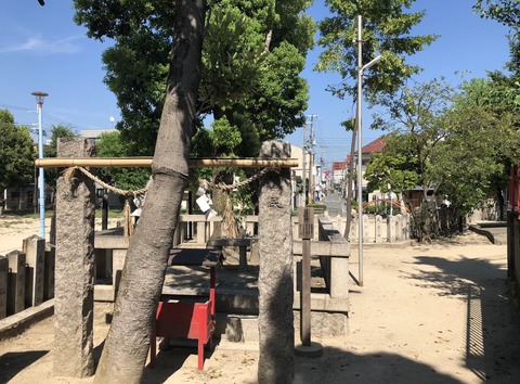 E954A9A1-46D3-4E52-97F6-008533E3DC3E