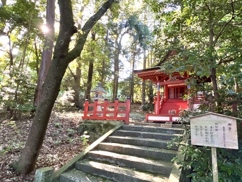 42E5DF2E-D25D-4F6E-AB41-88DBA9EB805A